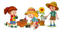 Media Image