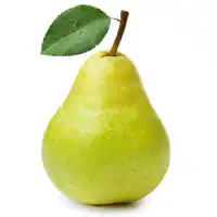 Media Image