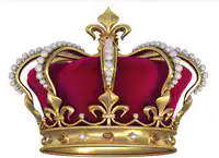 Media Image