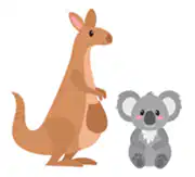 Media Image