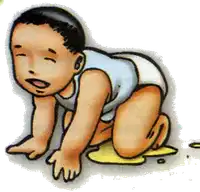 Media Image