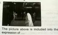 Media Image