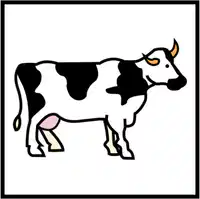 Media Image