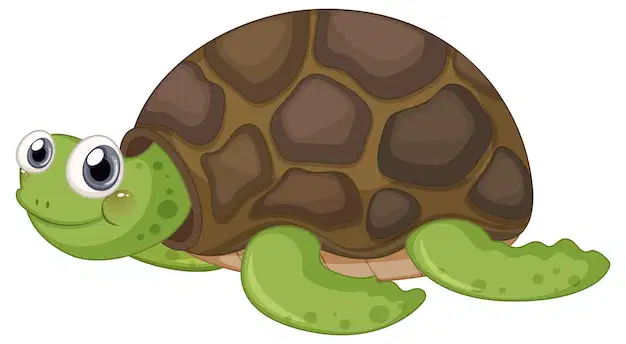 Media Image