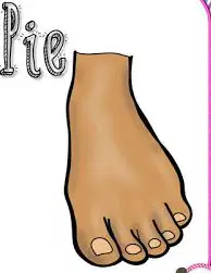 Media Image