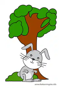 Media Image