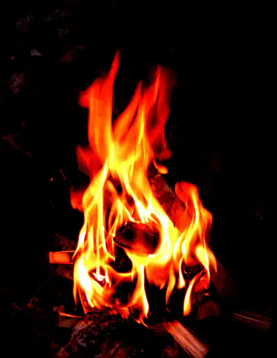 media