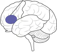 Media Image