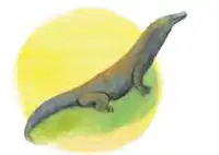 Media Image