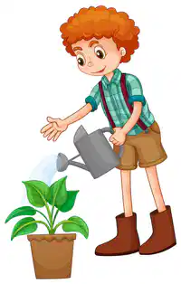Media Image