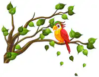 Media Image