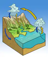 Media Image
