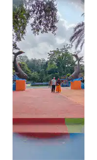 media