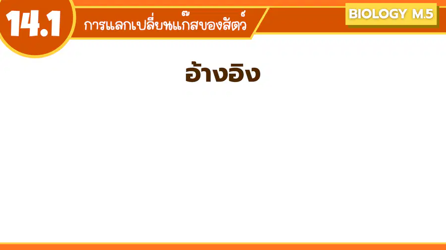 media