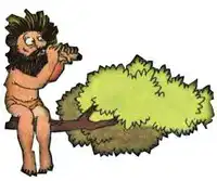 Media Image