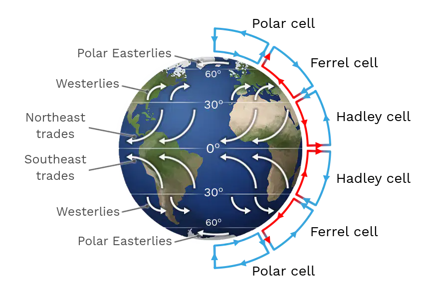 Global Air Circulation Quiz