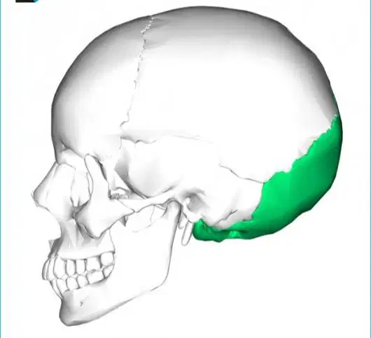 Media Image