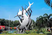 Media Image
