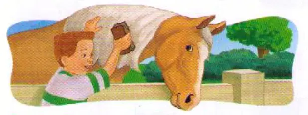 media image