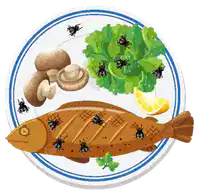 Media Image