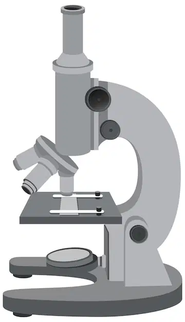 Media Image