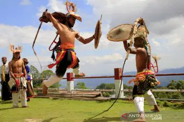 Media Image