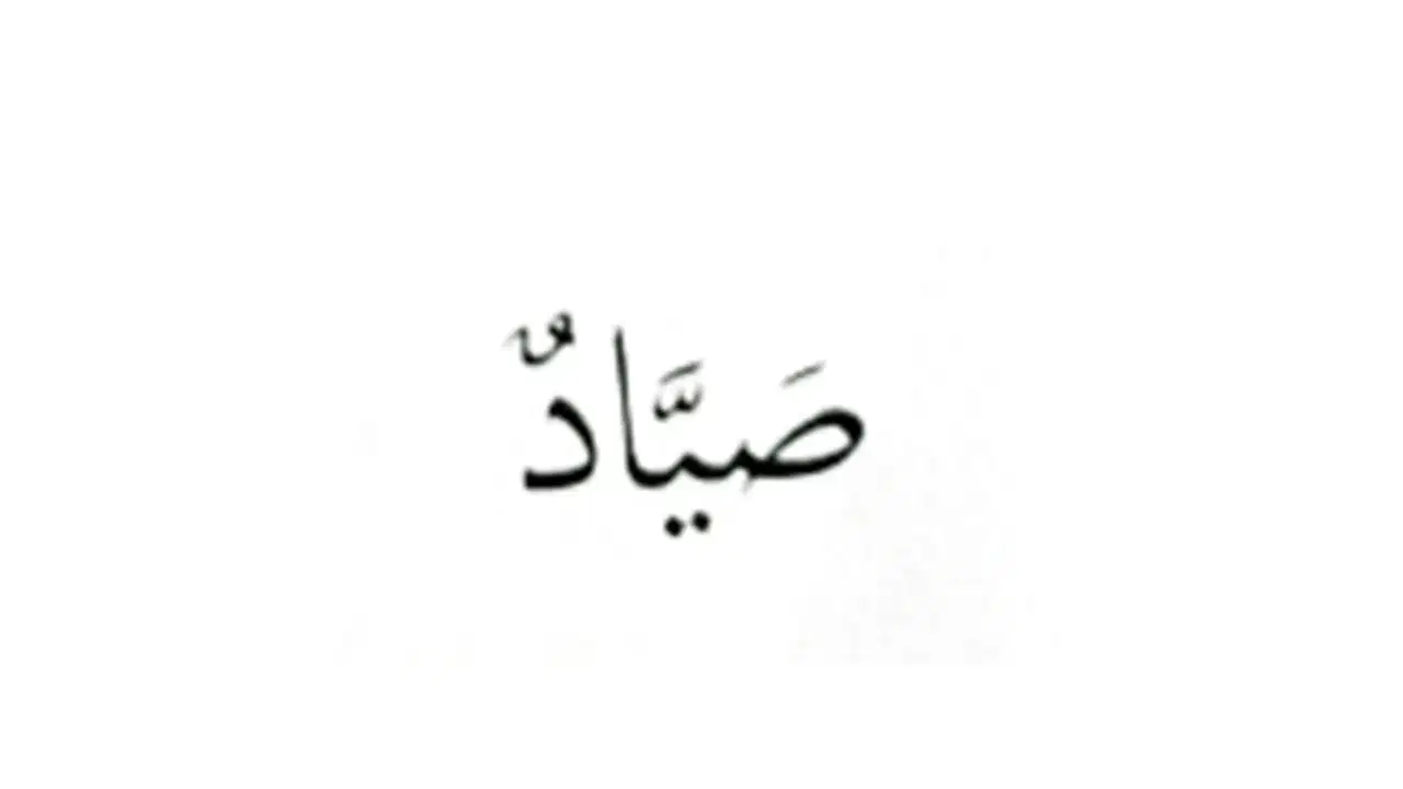 Media Image