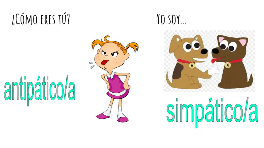 media