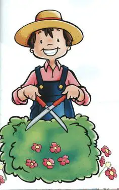 Media Image