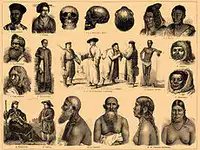 Media Image