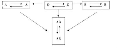 media