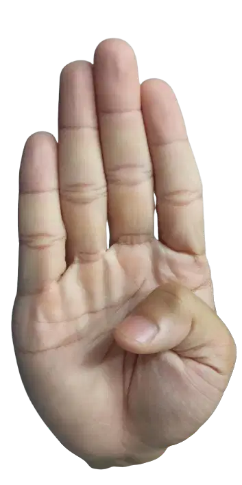 Media Image