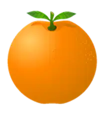 Media Image