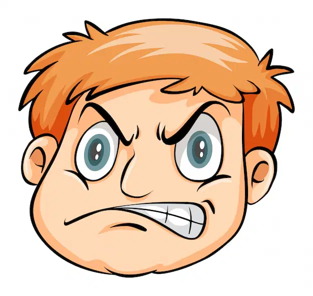 Media Image