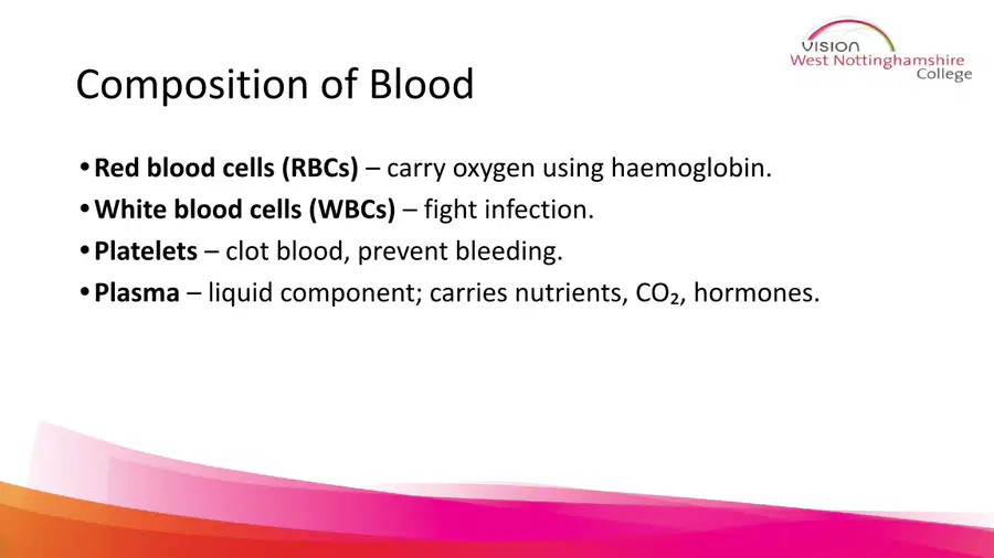 media