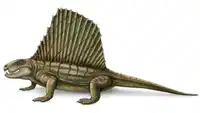 Media Image