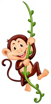 Media Image