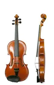 Media Image