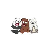 media