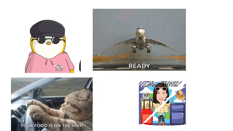 media