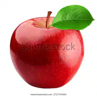 Media Image
