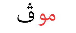 Media Image