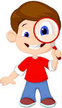 Media Image