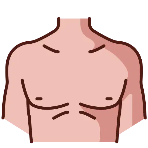 Media Image