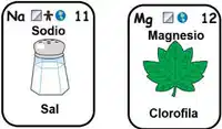 Media Image