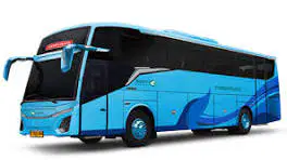 Media Image