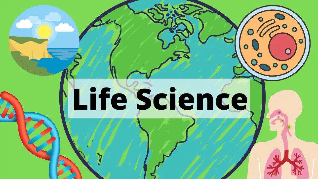 Life Science Fall Semester Exam Amplify 2025