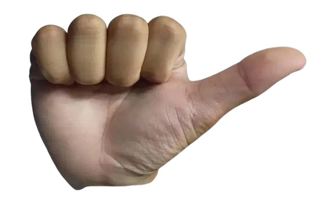 Media Image