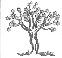 Media Image