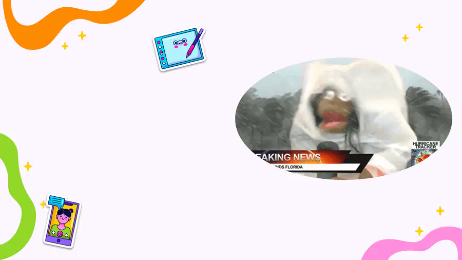 media